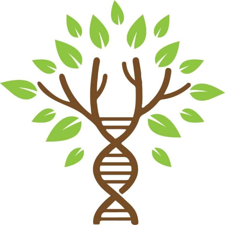 Beautiful You Wellness Clinic